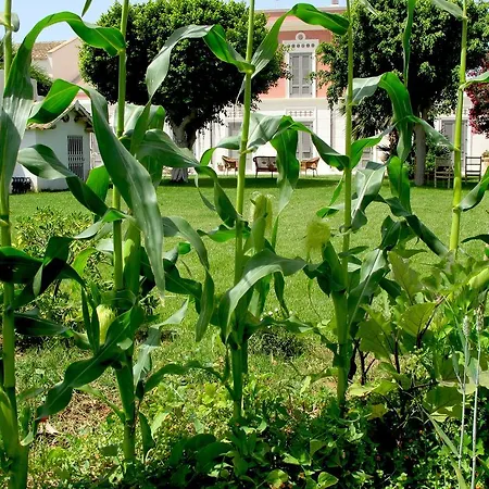 Antica Dimora La Porta Del Sale 4* Marsala